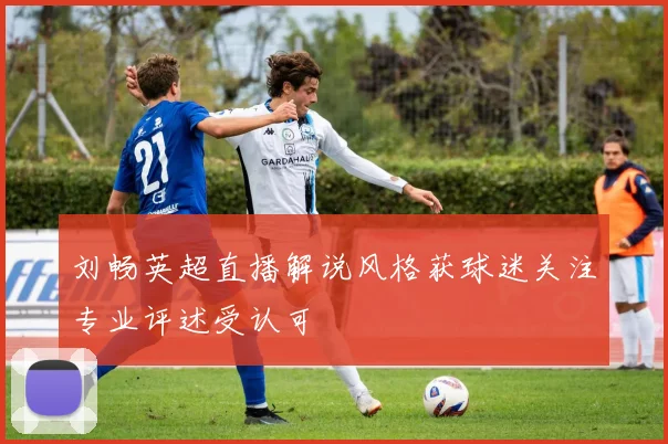 刘畅英超直播解说风格获球迷关注专业评述受认可